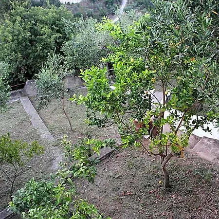 Pioppihouse 3*