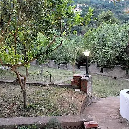 Pioppihouse